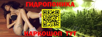 mdpv Гай