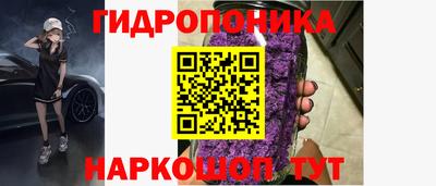 дурь Гатчина