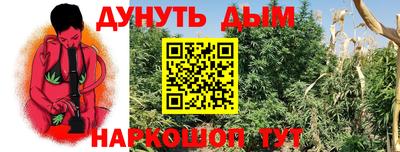 дурь Гатчина