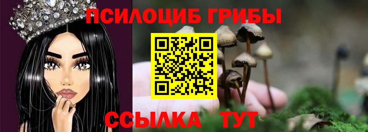 Тимашёвск  Галлюциногенные грибы мухоморы  Галлюциногенные грибы Cubensis  магазин продажи наркотиков  Вход с VPN 